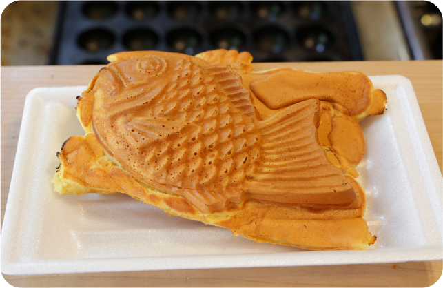 佐焼きについて